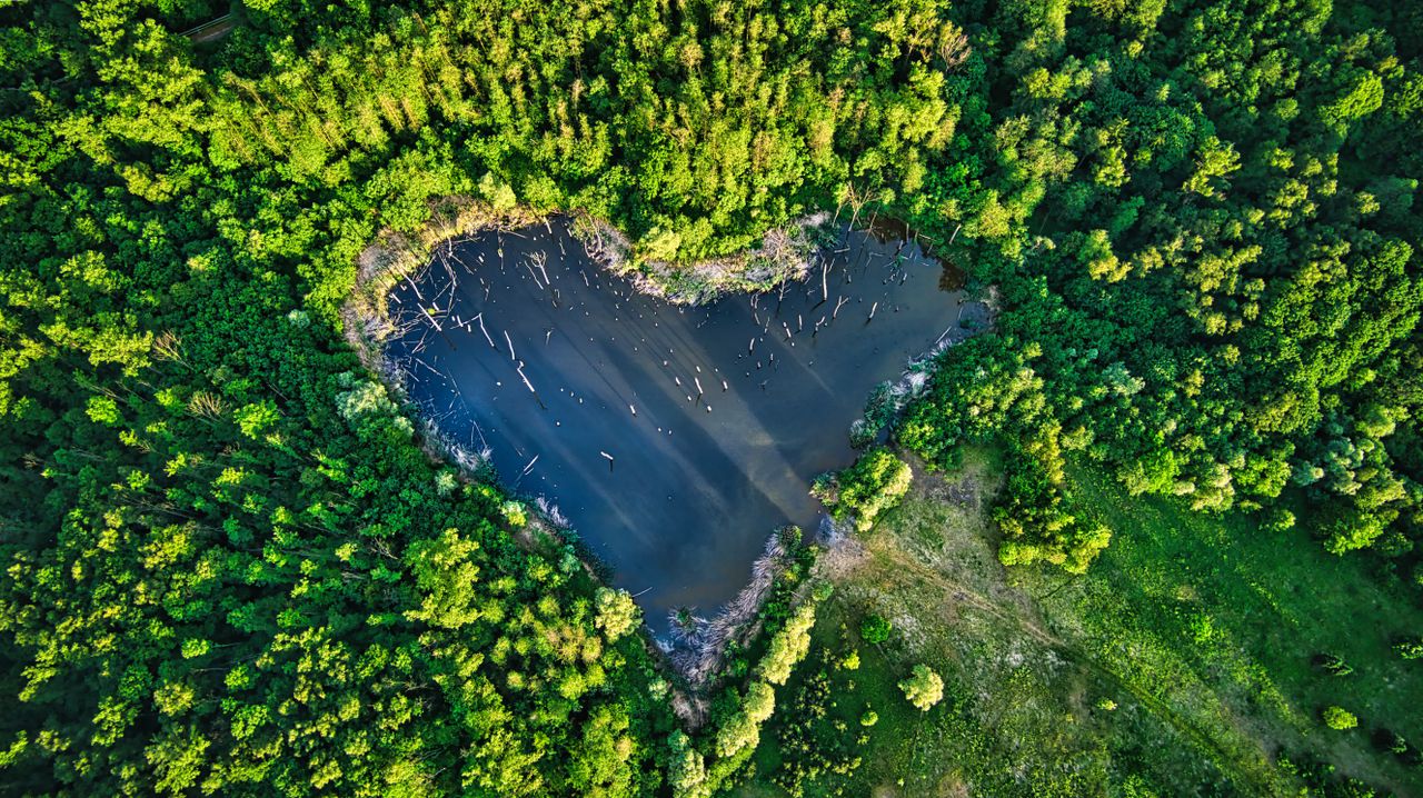 Services Aerial view of a heart-shaped pond surrounded by vibrant forest in Karviná, Czech Republic.