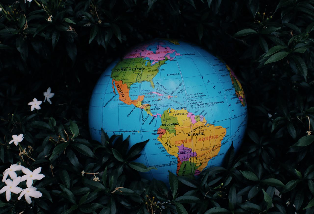 Home Earth globe toy placed in green bush with white flowers in nature in daytime