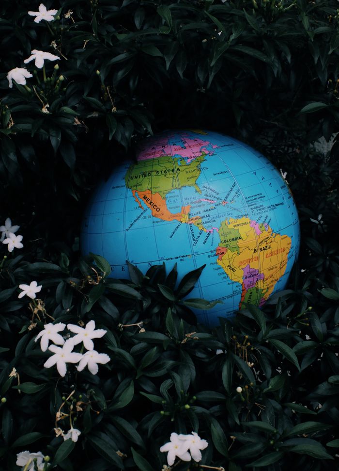 Home Small colorful Earth globe toy placed among dark green leaves and white flowers of plant in nature