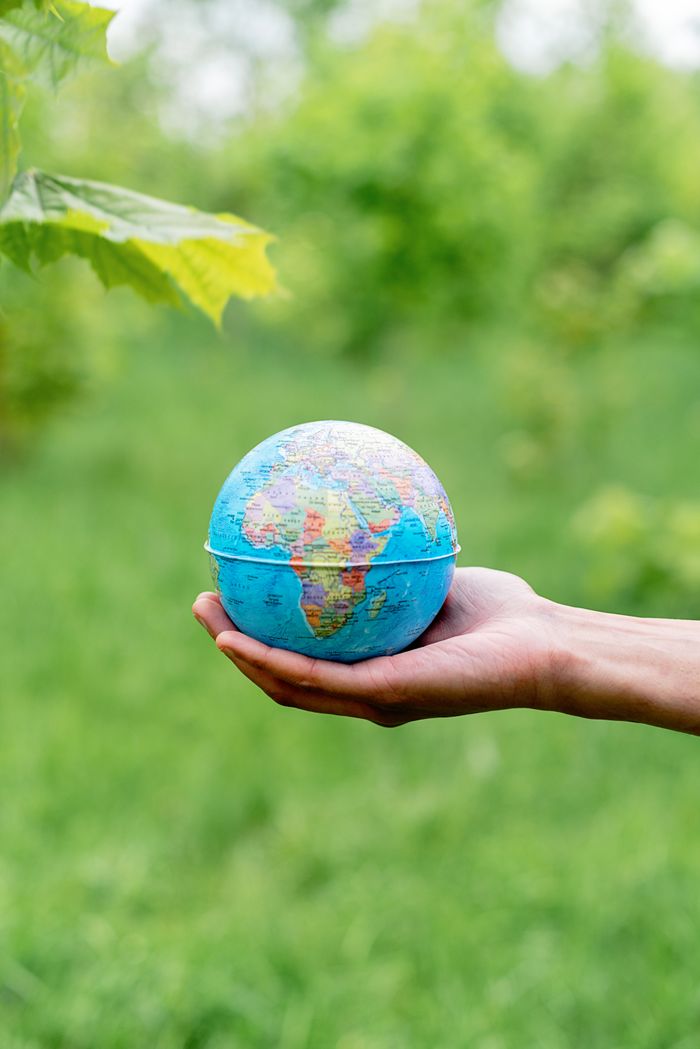 Home A hand holding a globe against a blurred, lush green background, representing environmental care.